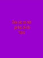 Giáo án bồi dưỡng thao giảng, thi giáo viên ngữ văn 9 bài Phong cách Hồ Chí Minh (16)