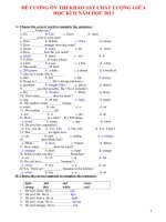 ôn thi giữa HKII tiếng Anh lớp 6