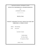 luận văn Toxicity assessment of small molecules using the zebrafish as a model system