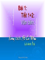 Giáo án bồi dưỡng thao giảng, thi giáo viên ngữ văn 9 bài Phong cách Hồ Chí Minh (8)