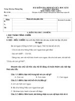 ĐỀ THI GIỮA HỌC KỲ 2 - TV LỚP 1 - NĂM HỌC 2010 - 2011