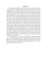 luận văn khoa marketing  Hoàn thiện kênh phân phối của công ty TNHH sản xuất và thương mại Mekong Vietnam