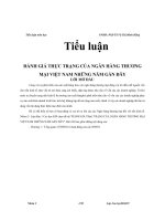 Thực trạng đánh giá ngân hàng ở việt nam