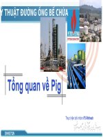 Tiểu luận KỸ THUẬT ĐƯỜNG ỐNG BỂ CHỨA DẦU KHÍ Tổng quan về Pig