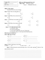 DE THI TOAN- TIENG VIET( DA) L4