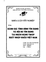 Đánh giá tình hình tín dụng và rủi ro tín dụng tại Ngân hàng TMCP xuất nhập khẩu Việt Nam
