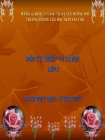 slide tnxh lớp 1 - con mèo