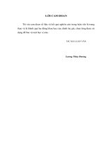 Hoàn thiện kế toán doanh thu và xác định kết quả kinh doanh tại Công ty cổ phần Bánh kẹo Hải Hà