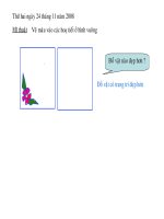 Vẽ màu vào các hoạ tiết ở hình vuông