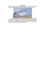 Giáo án trình chiếu L6