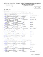 Đề TN THPT môn Tiếng Anh PB năm 2008 kỳ 2 mã  804