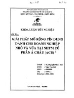Giải pháp mở rộng tín dụng dành cho doanh nghiệp nhỏ và vừa tại NHTM cổ phần Á Châu (ACB)