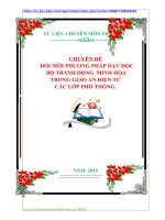 CHUYÊN ĐỀ   ĐỔI MỚI PHƯƠNG PHÁP DẠY HỌC  BỘ TRANH ĐỘNG  MINH HỌA  TRONG GIÁO ÁN ĐIỆN TỬ  CÁC LỚP PHỔ THÔNG.