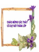 Bài 23; Vùng Bắc Trung Bộ