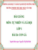 slide TNXH lớp 1-bài 26 con gà