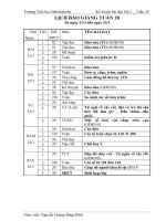 Tuần 28 (các thầy cô xem thế nào?)