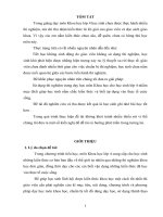 De tai nghien cuu khoa hoc tac dong