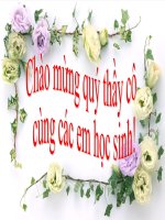 Nước Việt Nam Dân Chủ Cộng Hòa