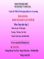 slide đạo đức lớp 2 -bảo vệ loài vật có ích