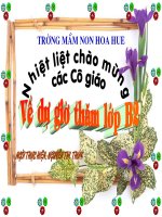 vận động mầu hoa