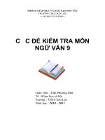 Đề Thi HSG Văn 9 TX