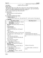 Giao an tuan 31lop 2 - 2010( Ca ngay)