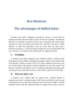 thảo luận vcu New Business The advantages of skilled labor