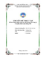 Hoàn thiện công tác tiền lương tại Công ty Cổ phần đầu tư hệ thống MS