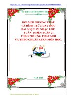 ĐỔI MỚI PHƯƠNG PHÁP VÀ HÌNH THỨC DẠY HỌC BÀI SOẠN ÂM NHẠC LỚP   TUẦN  16 ĐẾN TUẦN 21 THEO PHƯƠNG PHÁP MỚI VÀ THEO CHUẨN KTKN MÔN HỌC.