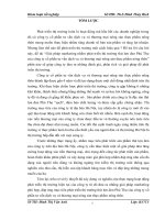 Giải pháp marketing nhằm phát triển thị trường thịt lợn đen phú thọ của công ty cổ phần tư vấn dịch vụ và thương mại nông sản thực phẩm nông thôn