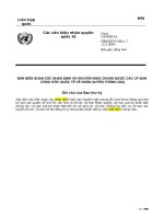 CÁC KHUYẾN NGHỊ CỦA CÁC ỦY BAN CÔNG ƯỚC (TIẾNG VIỆT)