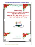 CHUYÊN ĐỀ  ĐỔI MỚI PHƯƠNG PHÁP DẠY HỌC  BIỆN PHÁP HỮU ÍCH HƯỚNG DẪN HỌC SINH TIỂU HỌC VIẾT CHỮ ĐÚNG, CHỮ ĐẸP.