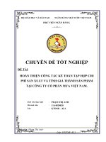 HOÀN THIỆN CÔNG TÁC KẾ TOÁN TẬP HỢP CHI PHÍ SẢN XUẤT VÀ TÍNH GIÁ THÀNH SẢN PHẨM TẠI CÔNG TY CỔ PHẦN MYA VIỆT NAM