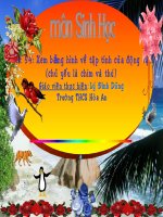 TIẾT 54 XEM BĂNG HÌNH SINH 7