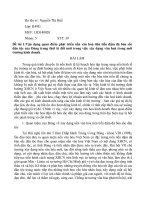 thảo luận đường lối HCM .vcu đề tài Vận dụng quan điểm phát triển nền văn hoá tiên tiến đậm đà bản sắc dân tộc của Đảng trong thời kì đổi mới trong việc xây dựng văn hoá