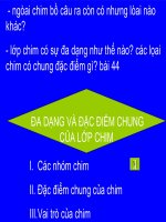 đa dạng & đặc điểm chung của lớp chim