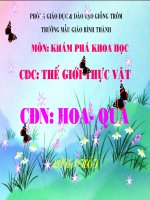 làm quen một số loại quả