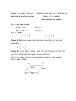 Đề kiểm tra khảo sát giữa kì II
