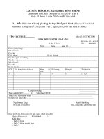 CÁC MẪU HÓA ĐƠN BẢNG BIỂU ĐÍNH CHÍNH