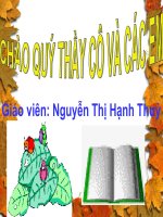 Giáo án bồi dưỡng thao giảng, thi giáo viên ngữ văn 9 bài Phong cách Hồ Chí Minh (11)