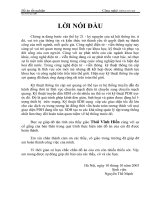 đồ án kỹ thuật viễn thông Công nghệ thông tin sợi quang & SDH công nghệ thông tin sợi quang & SDH