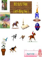 Hình động giúp soạn GADDT