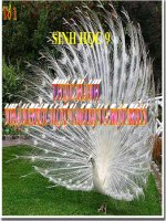 thực hành thường biến