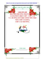 CHUYÊN ĐỀ  ĐỔI MỚI PHƯƠNG PHÁP DẠY HỌC CÁCH PHÂN BIỆT CHỮ  CHỮ CÁI  VÀ  HƯỚNG DẪN HỌC SINH TIỂU HỌC VIẾT CHỮ CÁI HOA,  CHỮ CÁI THƯỜNG.