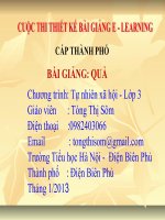 Slide TNXH lớp 3 Quả