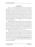 BÁO CÁO TỔNG HỢP TỔ CHỨC CÔNG TÁC KẾ TOÁN TRONG CÔNG TY TNHH VNT