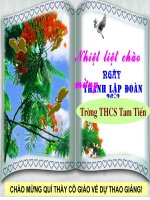 Bai 111. Cau tran thuat don