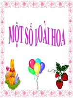 MỘT SỐ LOẠI HOA ĐẸP