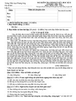 ĐỀ THI GIỮA HỌC KỲ 2 - TV LỚP 4 - NĂM HỌC 2010 - 2011