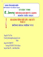 slide tiếng việt lớp 2 -bông hoa niềm vui